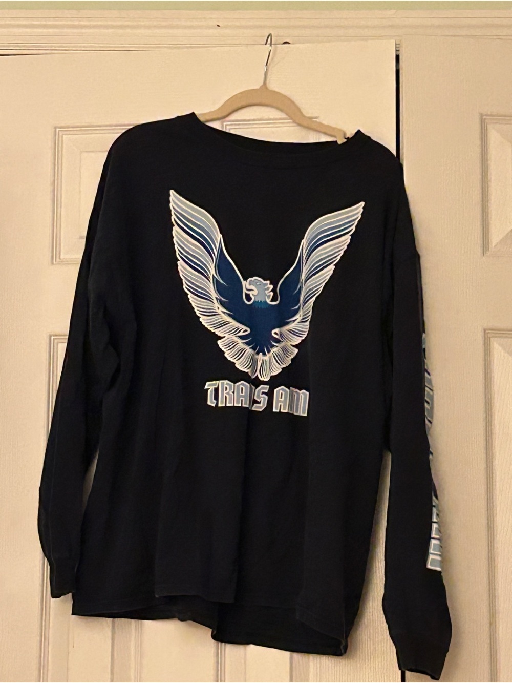 Vintage Delta Pro Weight Pontiac Trans Am Screaming Chicken Long Sleeve T-Shirt